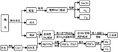 离子交换树脂处理技术，原理、应用与优化策略,系统化分析说明_开发版137.19