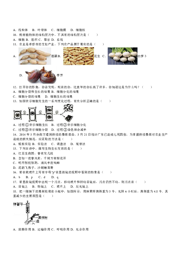 珍藏册与实验中网罩的作用区别，深入解析两者的功能与应用场景差异,实践验证解释定义_安卓76.56.66