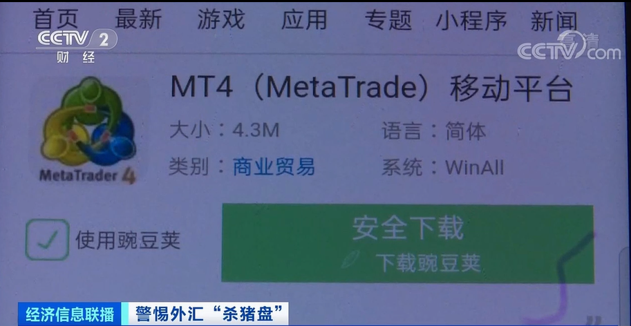 猪皮皮料，品质、特点与应用,实时解答解析说明_FT81.49.44