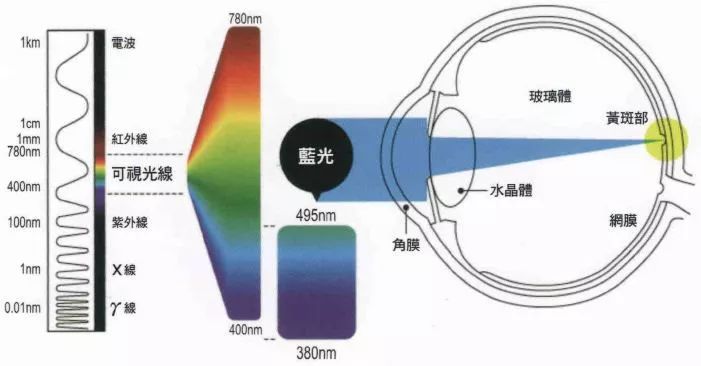 白炽灯光效，探索光源的魅力和应用,科学分析解析说明_专业版97.26.92