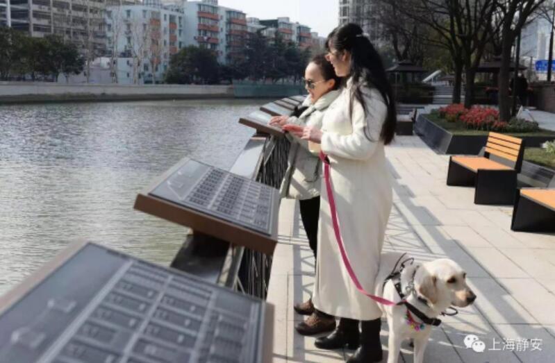 泥塑、皮裤与二手造纸设备市场，哪个更有前景？,精细设计解析_入门版15.81.23