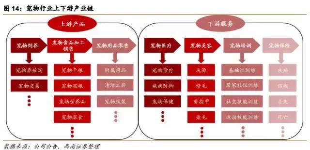 化学品托盘，存储与物流管理的关键要素,全面应用数据分析_挑战款69.73.21