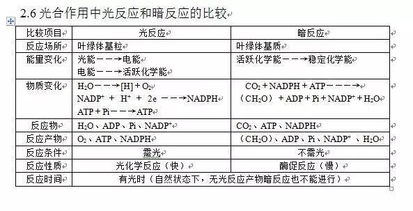 塑料网罩图片