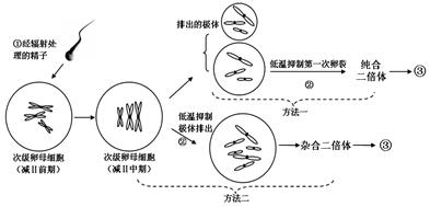 洗眼器属于什么